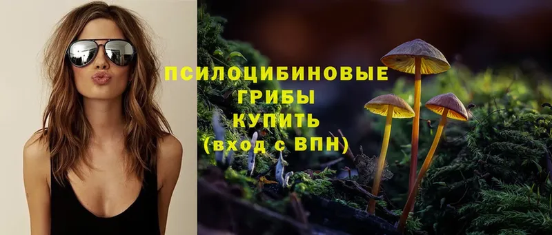 Галлюциногенные грибы Magic Shrooms Туринск